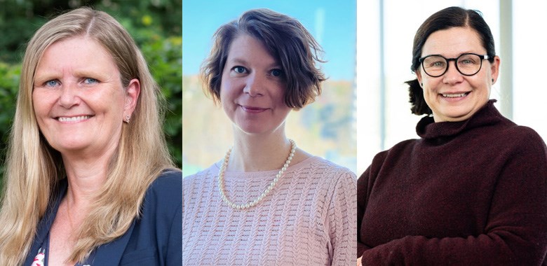 Socialtjänst samverkan artikel 20 mars 2025
